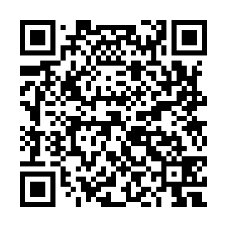 QR code for TIC939