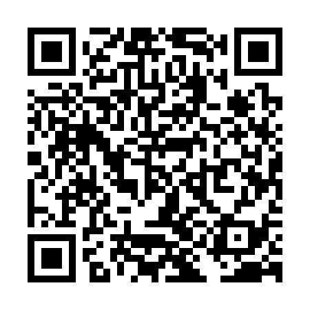 QR code for TIE339