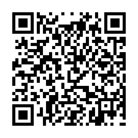 QR code for TIE956