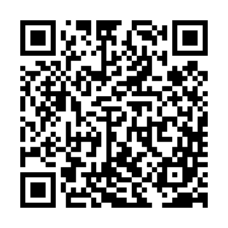 QR code for TIR447