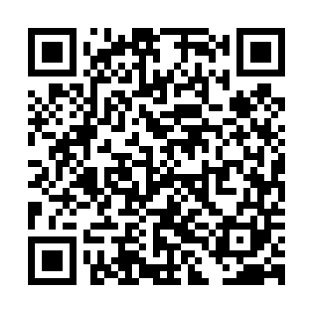 QR code for TLE441