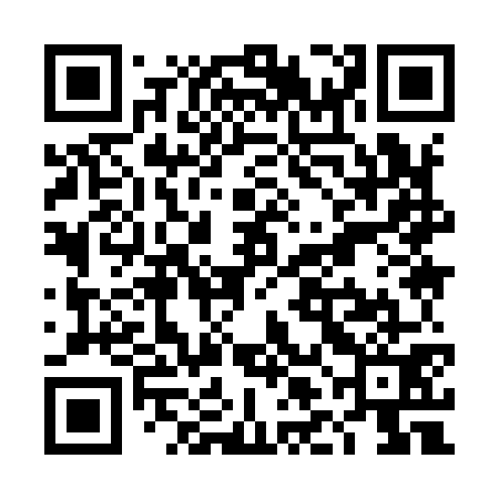 QR code for TLI971