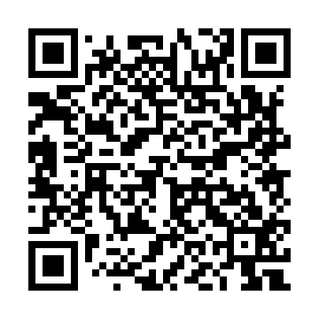 QR code for TOP913