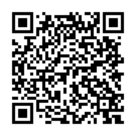 QR code for TSM523