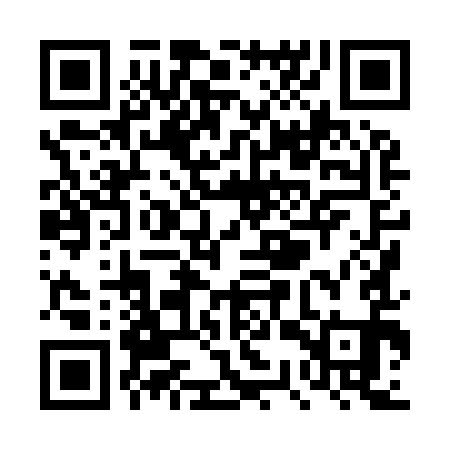 QR code for TSX991