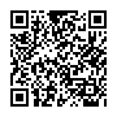 QR code for TZT133