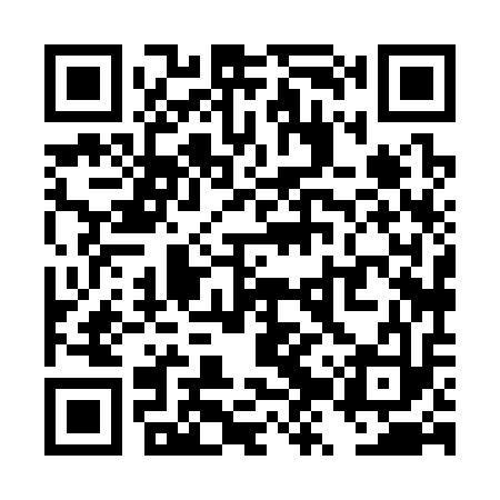 QR code for TZX313