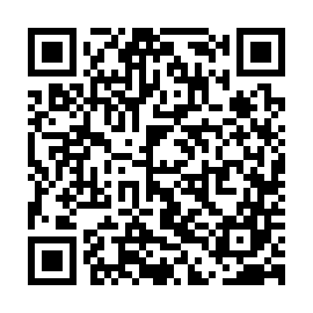 QR code for UDF347