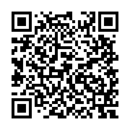 QR code for UDG595