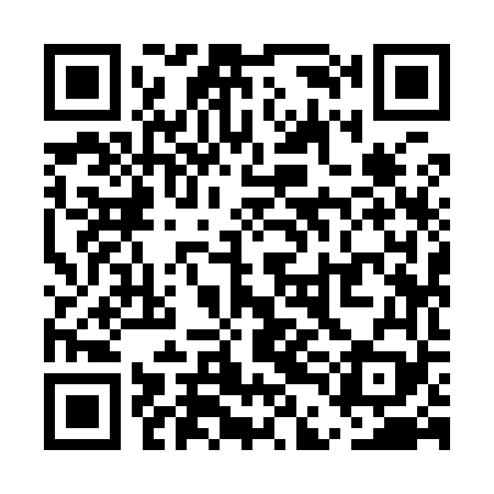 QR code for UDI969