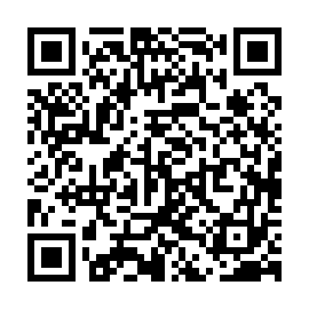 QR code for UDP173