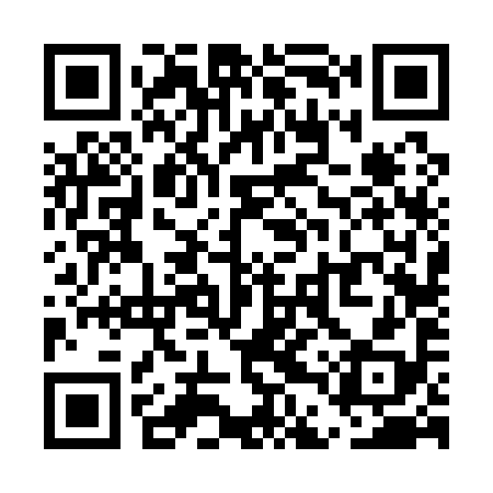 QR code for UDV198