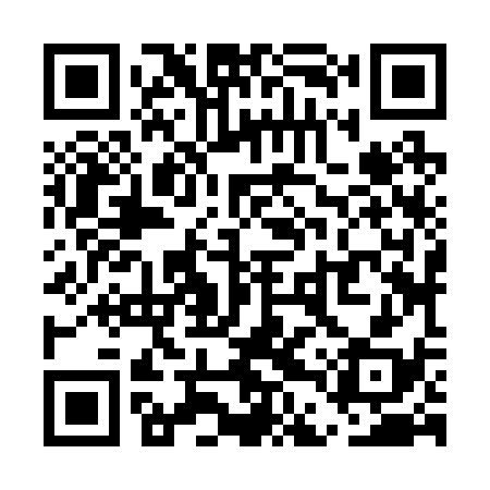 QR code for UDZ238