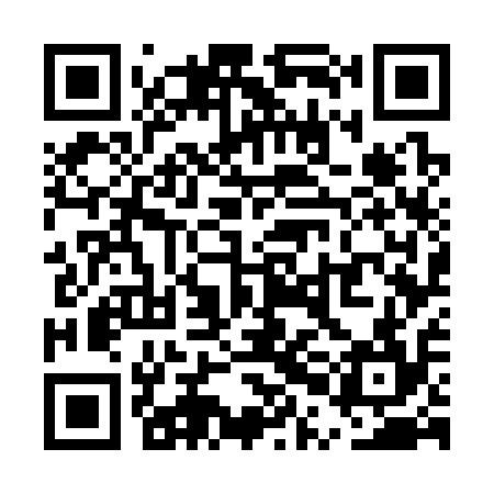 QR code for UPG314