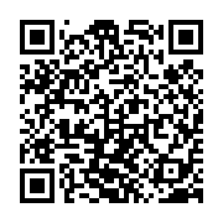 QR code for UYS419