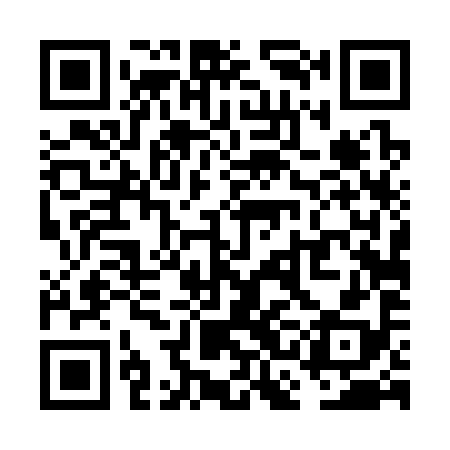 QR code for VCD398