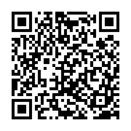 QR code for VDG543