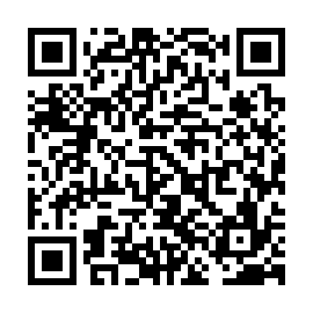 QR code for VFM336