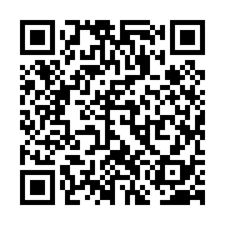 QR code for VGI038