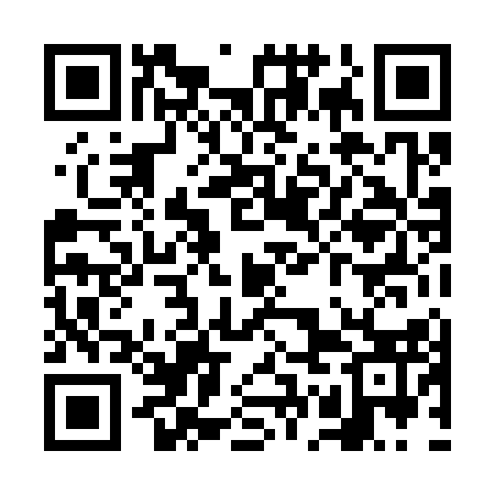 QR code for VGL313