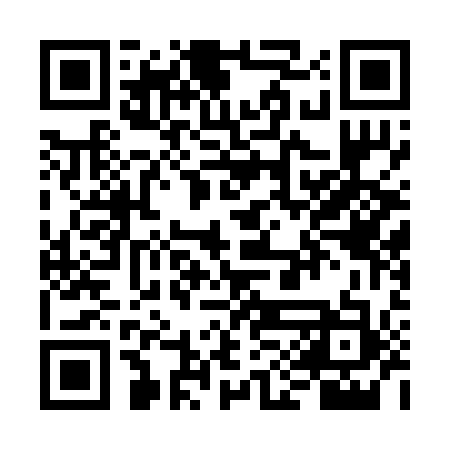 QR code for VIE213