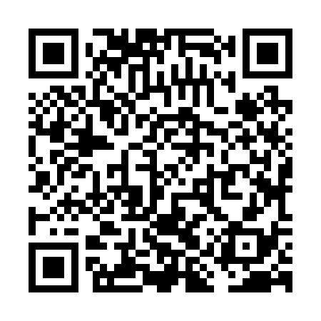 QR code for VIZ238