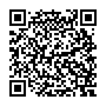 QR code for VJS383