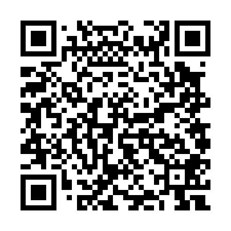 QR code for VJV008