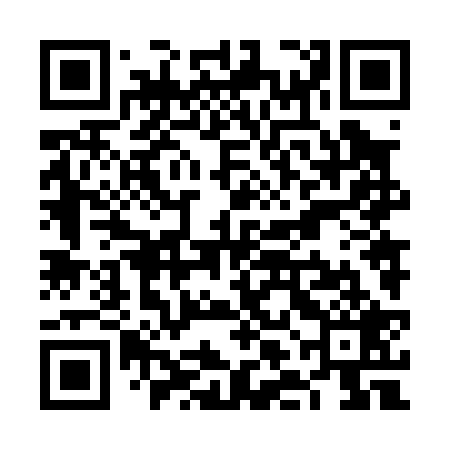 QR code for VLN029