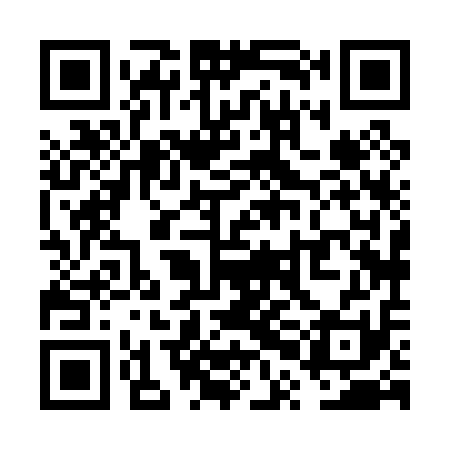 QR code for VPH011