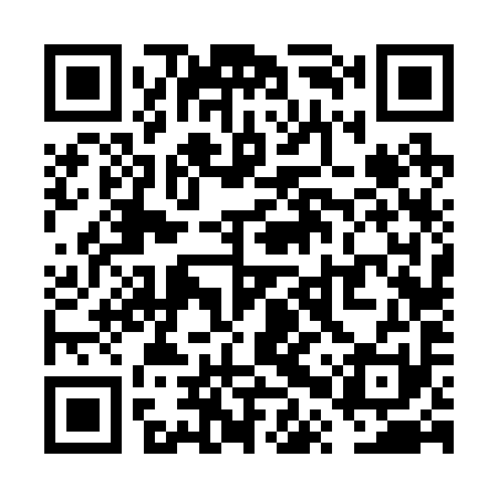 QR code for VPV291