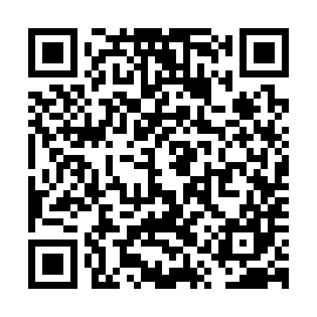 QR code for VQS387