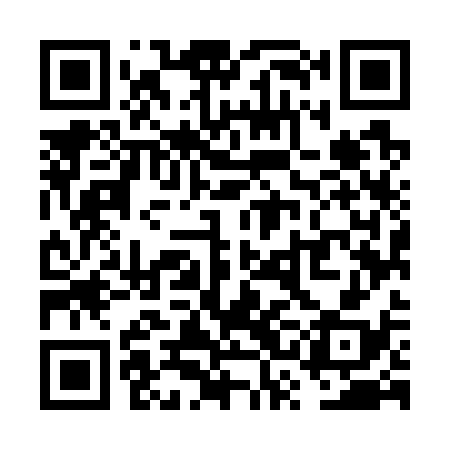 QR code for VSM738