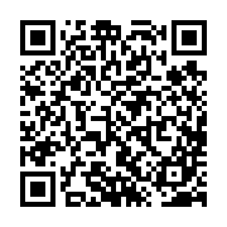 QR code for VSP687