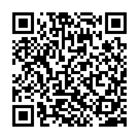 QR code for VVS368