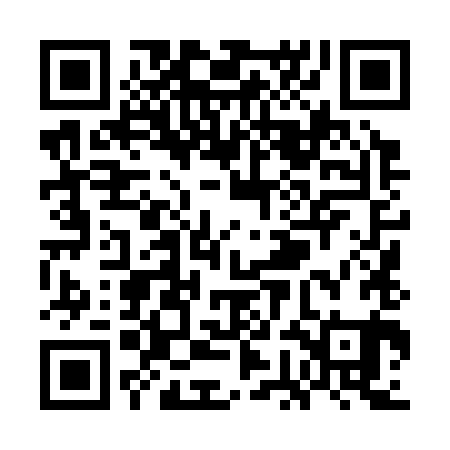 QR code for WGL381