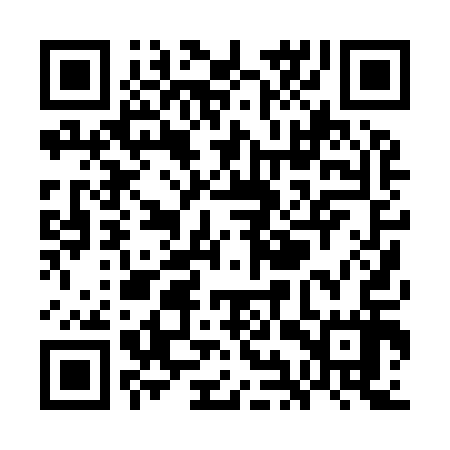 QR code for WIP917