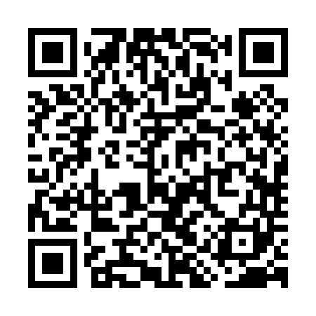 QR code for WIR041