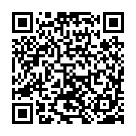 QR code for WKZ295