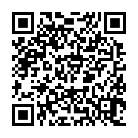 QR code for WMV384