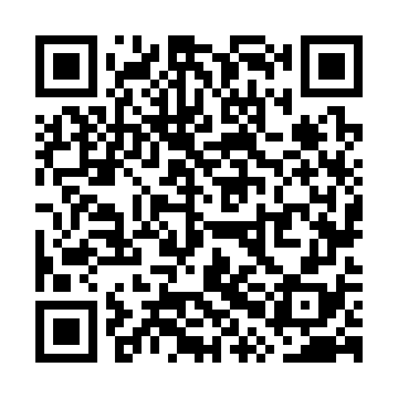 QR code for WPN378
