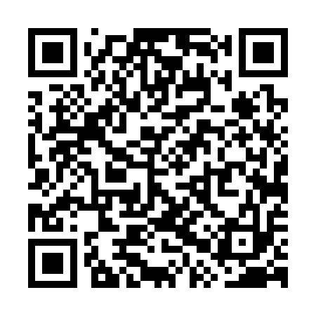 QR code for WPT313