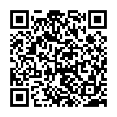 QR code for WSI132