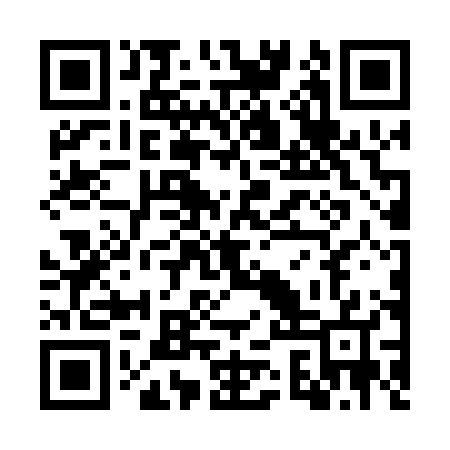 QR code for WSV007