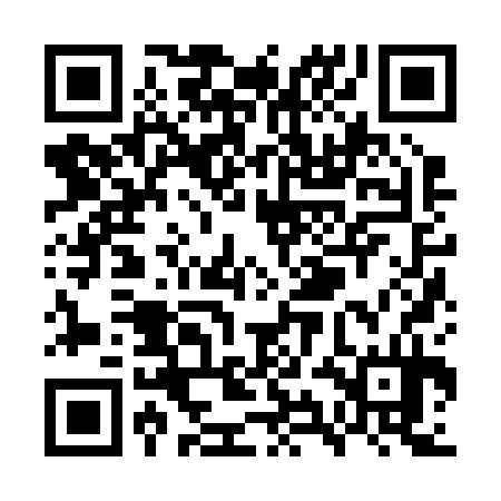 QR code for WYJ234