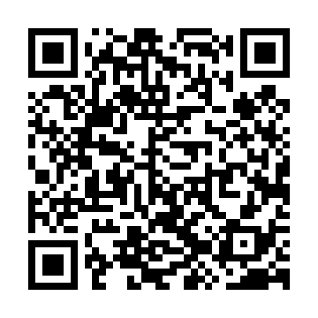 QR code for WZT438