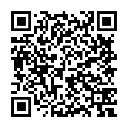 QR code for WZY878