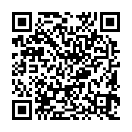 QR code for XAM381