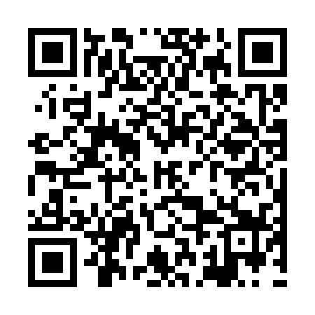QR code for XBG339