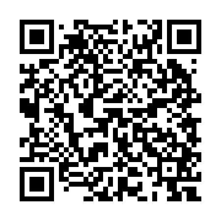 QR code for XDD241